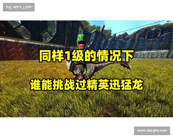 精英龙驯服大师:单机模式挑战 精英龙驯服大师:单机模式挑战