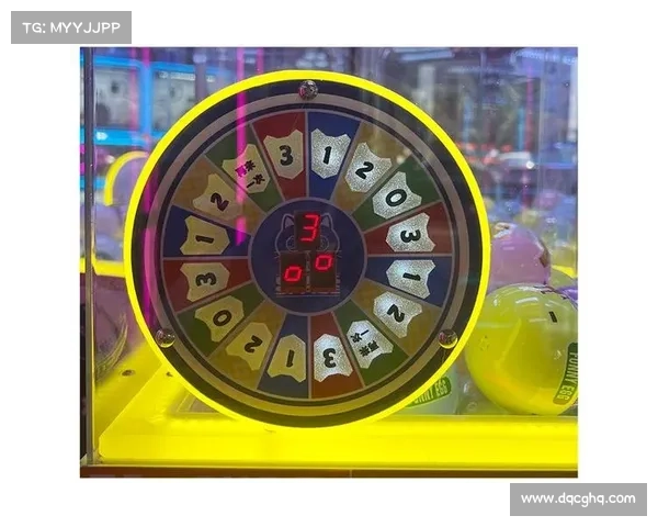 超级扭蛋机，转动命运的惊喜宝藏